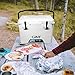 GiNT 25 Quart Portable Cooler, Ice Chest Rotomolded Cooler with Bottle Opener & Durable Handle, Whitethumb 3