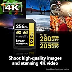 Lexar Gold Series Professional 1800x 256GB UHS-II