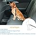 PetExpert Dog Seat Belt Adjustable Dog Car Harness Tangle Free Pet Safety Leash Leads Dog Seat Belt Harness with 21-31inch Elastic Nylon Bungee Buffer for Dogs Cats 10-110lbs