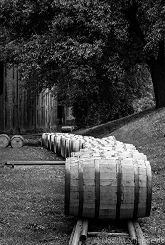 Large Format Canvas or Unframed Photo Fine Art Print, Bourbon Barrels at Bourbon Distillery, Wall Decor for Man Cave, Bar, or Pub