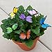 Butterfly Garden Ornaments & Patio Stakes Butterflies Plant Picks 12 Pcs Set