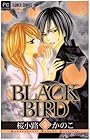 BLACK BIRD 第5巻