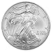 2006-1 Ounce American Silver Eagle Low Flat Rate Shipping .999 Fine Silver Dollar Uncirculated US Mint