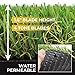 PZG Premium Artificial Grass Patch w/ Drainage Holes & Rubber Backing | 4-Tone Realistic Synthetic Grass Mat | 1.6-inch Blade Height | Lead-Free Fake Grass for Dogs or Outdoor Decor | Size: 5' x 3.3'