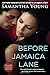 Before Jamaica Lane (On Dublin Street Series)