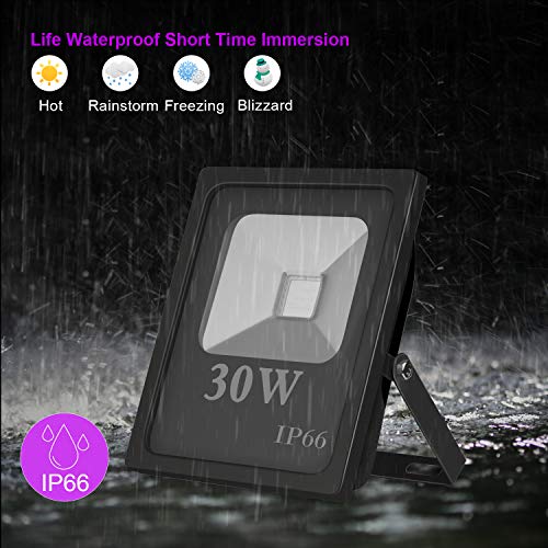 Exulight UV Black Light Outdoor, High Power 30W Ultraviolet LED Flood Light, 85V-265V AC IP66 Waterproof for Party Supplies Curing Glue Fishing Aquarium DJ Disco Birthday Wedding Stage Lighting (30)