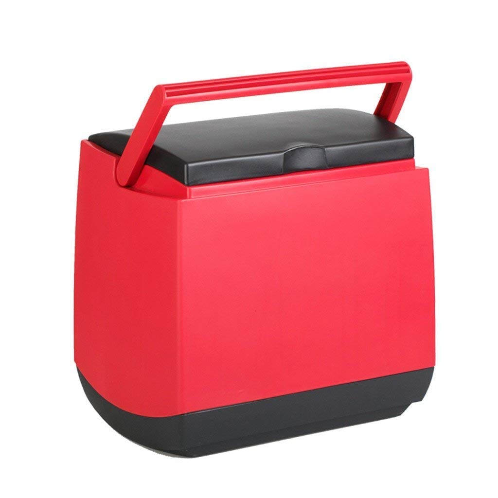 Nevera portátil eléctrica, refrigerador del coche 25L SKC mini ...