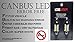 CANBUS LED 6SMDS HYPER White 6418 C5W Error Free License Plate Lights Bulbs