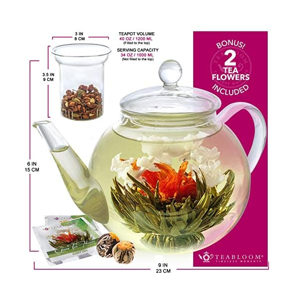 Stovetop & Microwave Safe Teapot (40 oz) with Removable Loose Tea