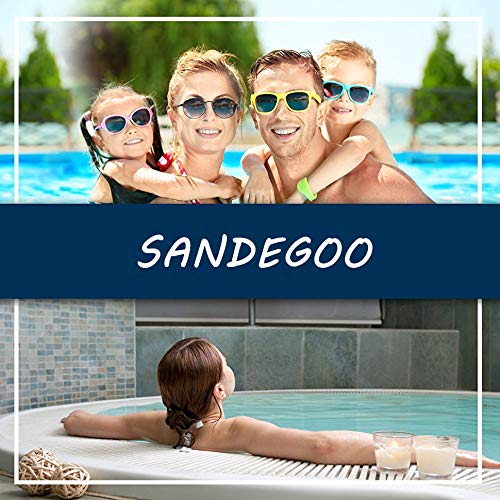 SANDEGOO Swimming Pool Brush, 8 FT Extension 18.5"Polished Aluminum Rear Pool Cleaning Brush Head Designed to Clean Wall Tiles and Floors Nylon Bristle Algae Pool Brush (8 FT)