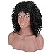 Mildiso Afro Wigs for Black Women Short Curly Wig with Bangs Kinkys Wigs African American Hair Wig Jet Black with Wig Cap M023