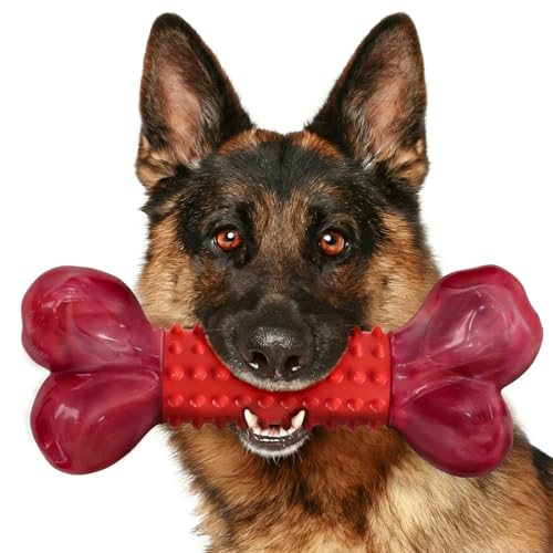 Apasiri Tough Dog Bone