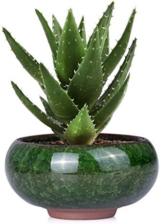 Mini Glazed Ceramic Succulent Planter Flower Pots Plant Box Peacock Green E094