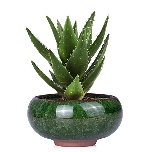 Mini Glazed Ceramic Succulent Planter Flower Pots Plant Box Peacock Green E094