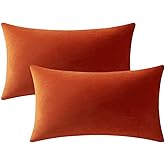 DEZENE Lumbar Pillow Covers 12x20 Burnt Orange: Pack of 2 Cozy Soft Velvet Rectangular Modern Luxury Decorative Throw Pillow Cases for Sofa Couch Living Room Bed Home Decor
