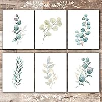 Botanical Prints Wall Art - Eucalyptus Leaves - (Set of 6) - Unframed - 8x10s