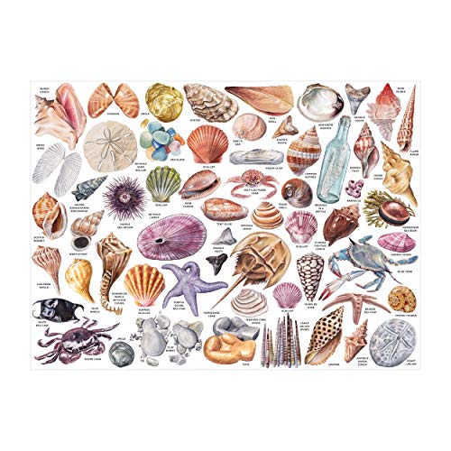 The Beachcomber's Companion 1000 Piece Puzzle With Shaped Pieces - //coolthings.us