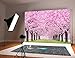 GYA 7x5ft Cherry Blossoms Street Studio Photography Backdrop Beautiful Flower Background Photo for Wedding Vinyl