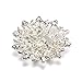 Valdler Fashion Jewelry Imitation Pearls Floral Ivory and Silver-Tone Crystal Brooch Pin