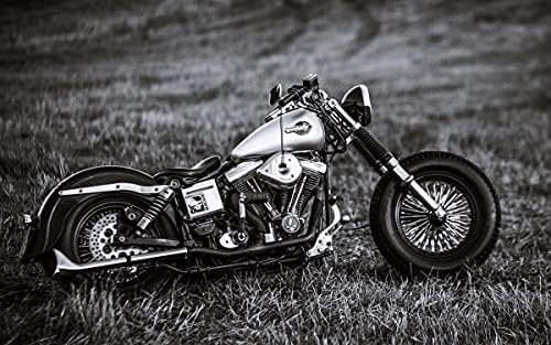 Amazon ハーレー ダビッドソン Fxs ローライダー カスタム ショベルヘッド 絵画風 壁紙ポスター ワイド版603 376mmはがせるシール式 001w2 アニメ 萌えグッズ 通販