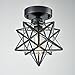 AXILAND Industrial Moravian Star Ceiling Light with 8-inch Glass Shade, 1 Light