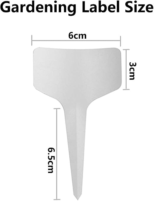 AIXMEET Semilleros Biodegradables, 100pcs 8cm Macetas para Flores ...