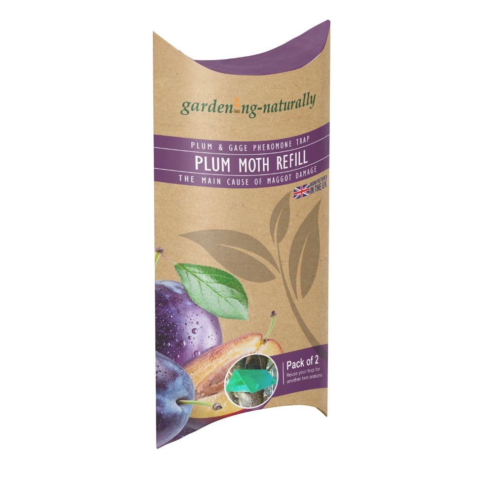 Plum Moth Pesticide Free Pheromone Trap (Plum Moth Refills Pack of 2)