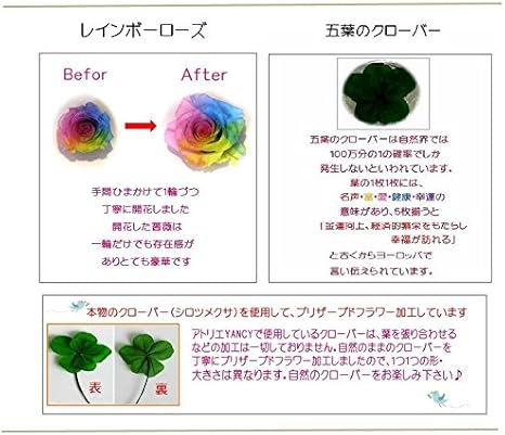 Amazon 五葉のクローバー入り虹色の薔薇 レインボーローズ3輪 プリザーブドフラワーアレンジ ガラスドーム 小 ビビット プリザーブドフラワー オンライン通販