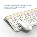 Wireless Keyboard and Mouse Rechargeable (Gold)