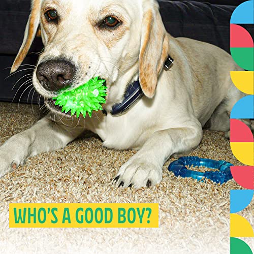 Dazzling Toys LED Light Up Dog Balls Interactive Dog Toys Glow in the