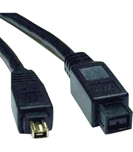 Amazon.com: PASOW FireWire 800 to 400 9 to 6 pin Cable (9pin