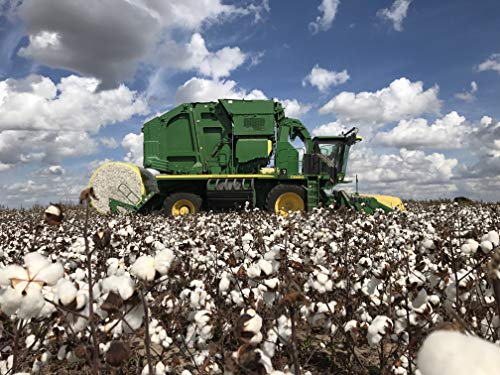 Grown in The USA Raw Cotton Stuffing/Batting. (5lb) - Thumbnail 2