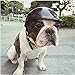 IAMUQ Dog Helmet, Cool Black Pet Hat Funny Dog Helmet for Sun Rain Protection Small Medium Costumes Accessories - S