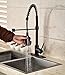 Rozin Single Hole Pull Down Sprayer Kitchen Sink Faucet Deck Mount Mixer Tap with 8