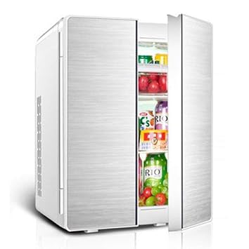 Kievy Doble Voltaje Refrigerador del Coche Portátil Refrigerador ...