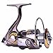 Sougayilang Fishing Reel Spinning -12+1BB Ultralight Smooth Powerful Spinning Reels for Freshwater Saltwater Bass Fishing（13bbdk-6000）