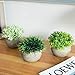 THE BLOOM TIMES 2 Pcs Fake Plants for Bathroom/Home Office Decor, Small Artificial Faux Greenery for House Decorations (Potted Plants)