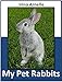 My Pet Rabbits: What I Learned About Rabbits by Irina Arnelle