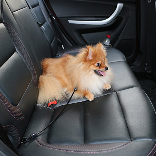 Dog Seat Belt Car Seatbelts for dog Restraint Tether, Chew-proof Cable Seatbelt for Medium Dogs, Coated Cable Vehicle Seatbelts for Safety, Medium Size