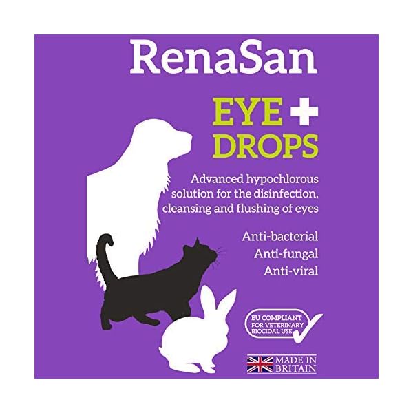 RenaSan Antiseptic Eye Drops (60 ml) AlcoholFree, NonIrritating and