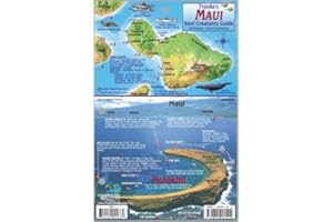 Maui Hawaii Map & Reef Creatures Guide Franko Maps Waterproof Fish Card