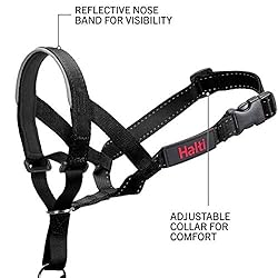 Halti Headcollar and Training Lead Combination