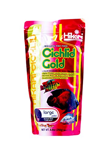 Cichlid Gold fish food large pellet floating type 8.8 oz (250g)