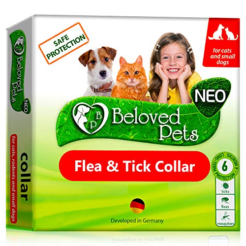 Flea and Tick Collar for Dogs and Cats Natural Flea Treatment