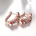 Girls' Women’s Stylish Jewelry U Shape AAA Zirconia Crystals Leverback Pierced Earrings