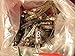 12 PCS Vintage VFD IV-3A USSR Tubes Indicator NOS