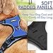 rabbitgoo Dog Harness No Pull with 2 Leash Clips, Adjustable Soft Padded, Reflective Oxford No Choke Pet Vest with Easy Control Handle for Large Dogs, Dazzling Blue, XL