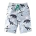 Koupa Little Boys' Dinosaur Cotton Shorts 18M-7T