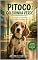 Livro PITOCO COLEIRINHA VERDE: A invasão dos Beagles