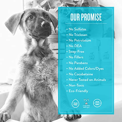 SKOUT'S HONOR Probiotic Pet Shampoo - 16 fl. oz.